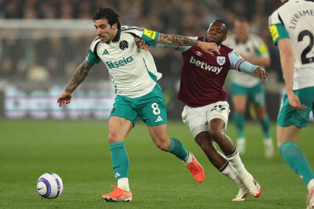 正因為他高 正因為他高